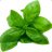 tw:Basil